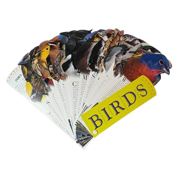 VTG FANDEX Family Field Guides "Birds: Wild Birds of North America" Workman Pub - Picture 1 of 16